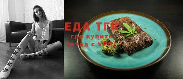 хмурый Аркадак