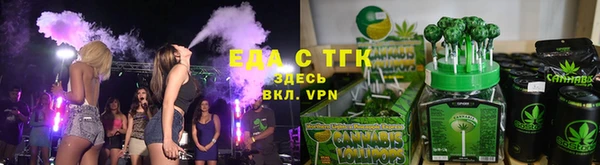хмурый Аркадак