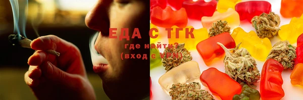 хмурый Аркадак