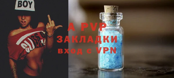 хмурый Аркадак