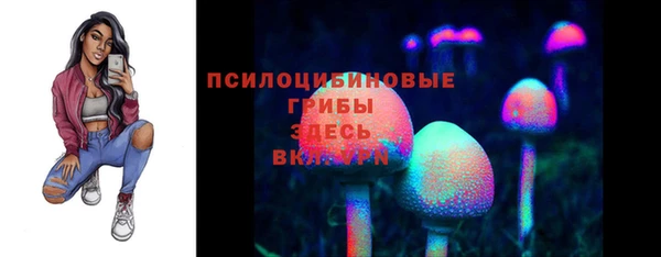 прущая мука Арсеньев