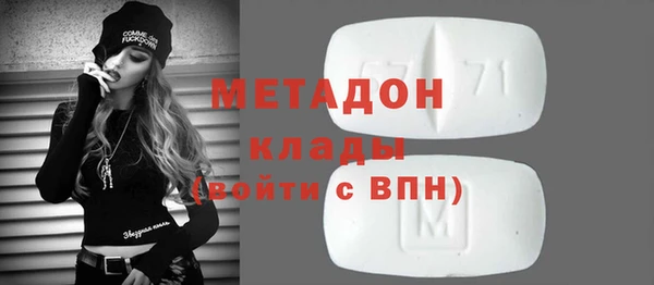 хмурый Аркадак