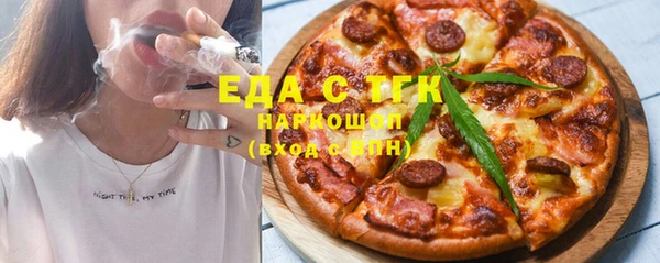 хмурый Аркадак