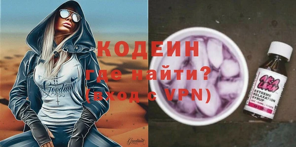 хмурый Аркадак