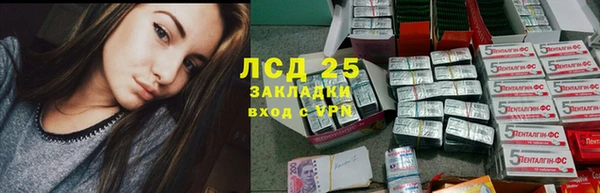 хмурый Аркадак