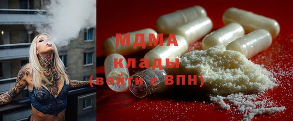хмурый Аркадак