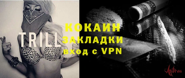 прущая мука Арсеньев
