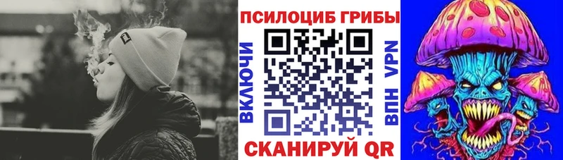 shop какой сайт mega ONION Галлюциногенные грибы мицелий Сясьстрой купить